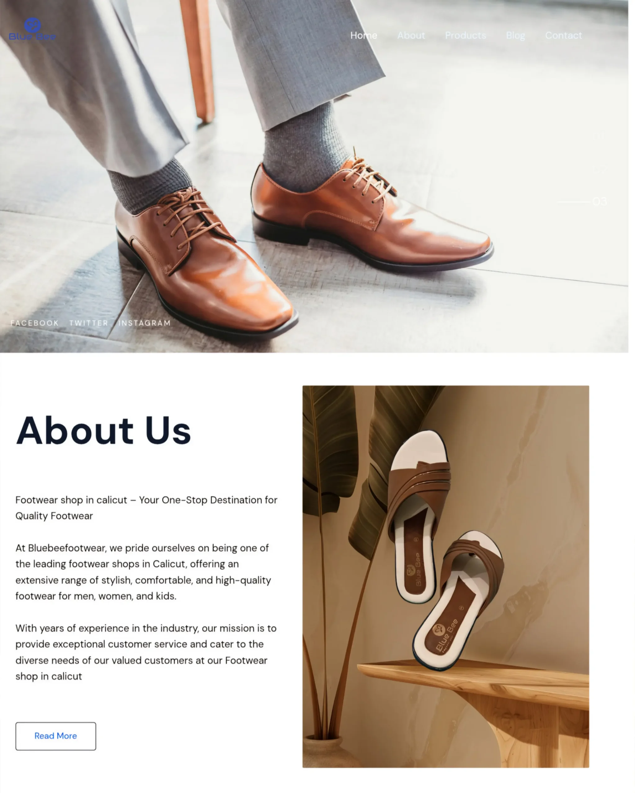 bluebee footwear website design by digital marketing agency in calicut